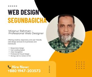 Website Developer in SegunBagicha