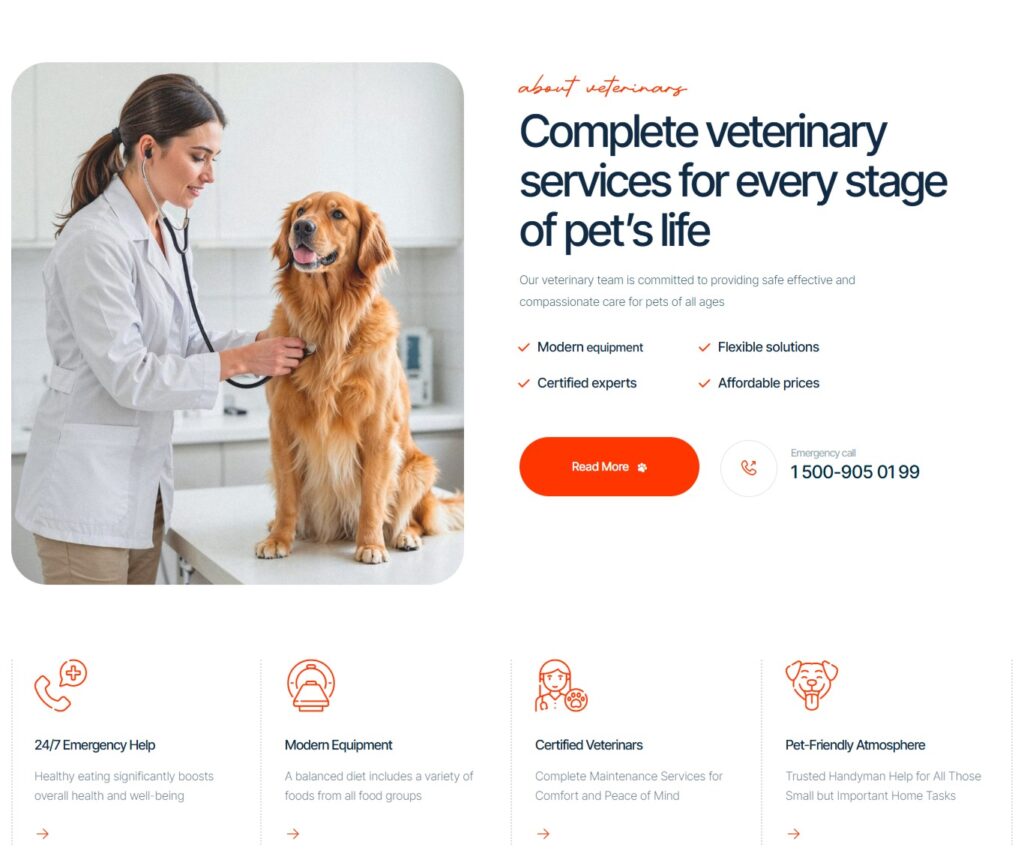 Pet Care Service Website Design and Development