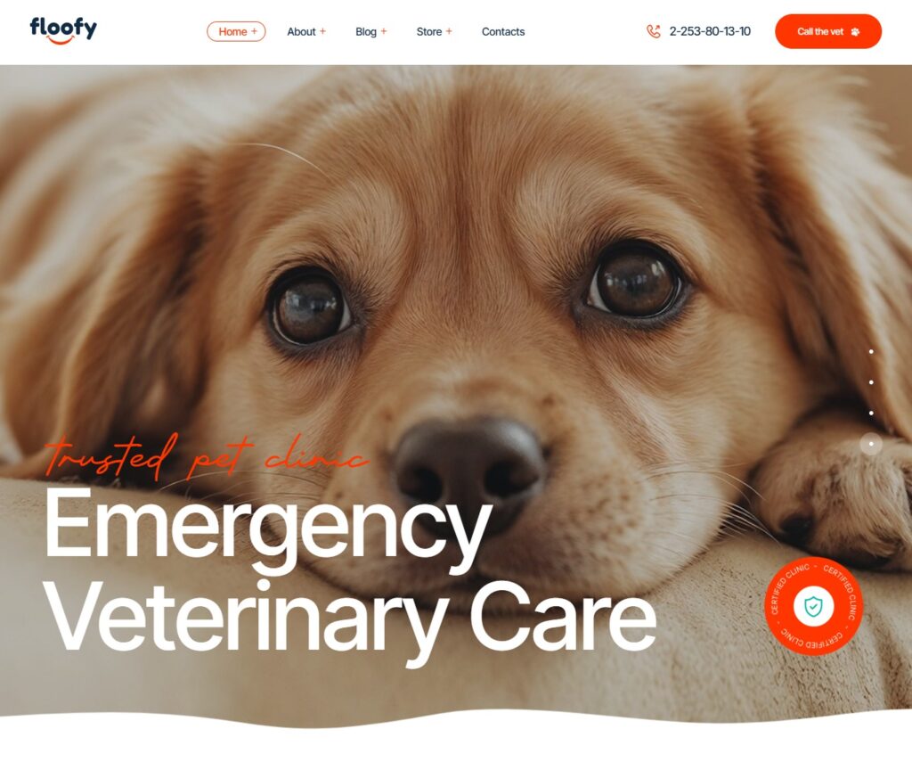 Pet Care Service Website Design and Development