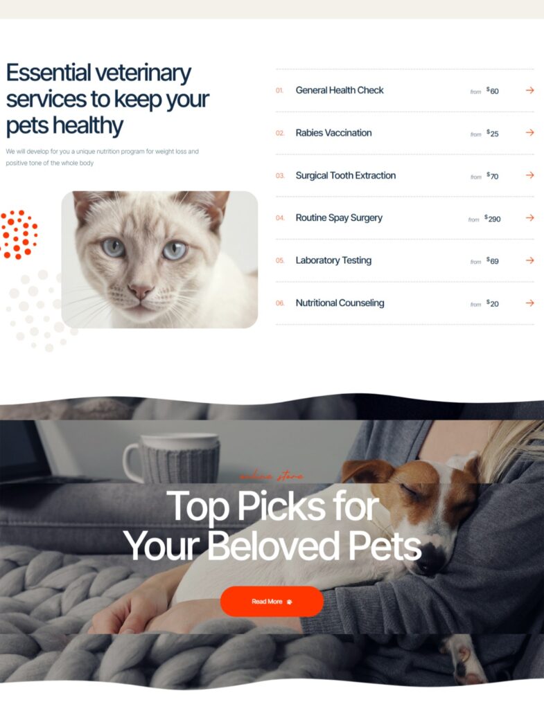 Pet Care Service Website Design and Development